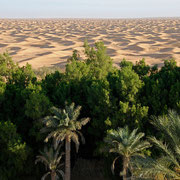 Oasis Ksar Ghilane