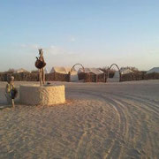 Campamento Sahara Oasis