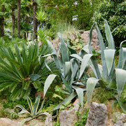 Parco Botanico Andre Heller Gardone Gardasee Italien
