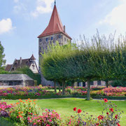 Burggarten der Kaiserburg in Nürnberg
