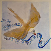 Bild: Schmetterling