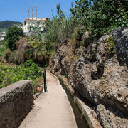 Bild: Levada