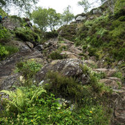 Bild: Wanderung nach Ben A´an - Foto 7