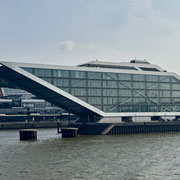 Bild: Haus an der Elbe