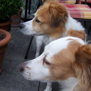 Ayla und Charly