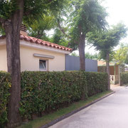 Vista exterior apanellat acústic