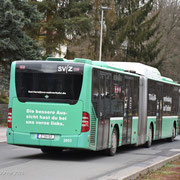 31.03.2026