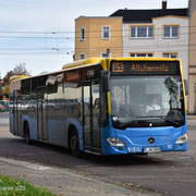 19.10.2025
