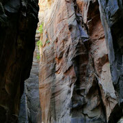 Narrows 6