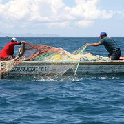 Pesca