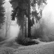 Foto: Alexander Peter, Note 2,4