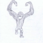11.05.2012 Affe (aus einem Zeichenbuch)