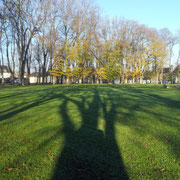 Bayeux, en allant acheter le pain. Jeudi 26 novembre 2020.