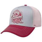 Air Land Sea Pink