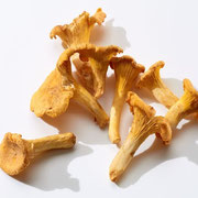 Chanterelles