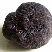 Truffe noire