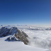 Vorm Horizont das Berner Oberland.