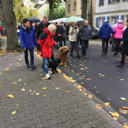 Ausflug zum Bauernmarkt