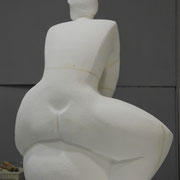 escultura ampliacion , Rosa Serra