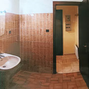 VUE SUR LA SALLE D'EAU EXISTANTE