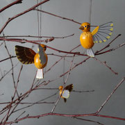 Goldammer (Emberiza citrinella)