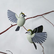 Wintergoldhähnchen (Regulus regulus) 