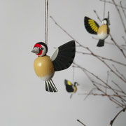 Stieglitz oder Distelfink  (Carduelis carduelis)