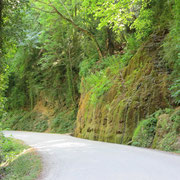 Canyon des Gueulards