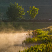 Morgennebel