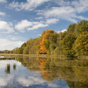 Herfst op Leersumse veld