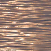 Zon in de Nederrijn