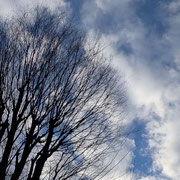 2026/2　冬空