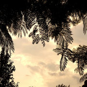 2024/8ジャカランタ