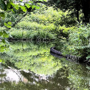 2024/10　三四郎池