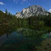 Natur pur am Kreuzteich, direkt vor dem touristischen Grünen See