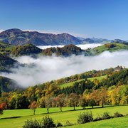Oberdambach im Herbst