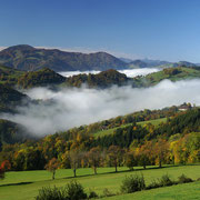 Spätherbst am Oberdambach