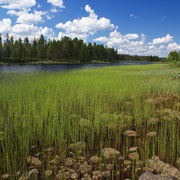 Schweden - nächst Polarkreis