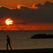 Morgens am Strand von San Benedetto (I)
