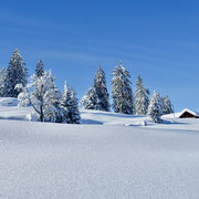 Winterfreude