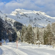 Winterspaziergang Laui mit Blick auf den Säntis - Weihnachten 2024
