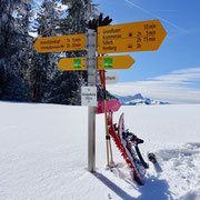 Schneeschuhtour Hemberg - Gössigenhöchi - Ennetbühl