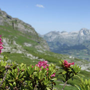 Wanderung auf den Chäserrugg
