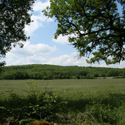 vue dur les champs et le bois en bordure du hammeau