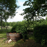 vue sur la campagne