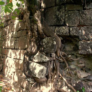 Altes Gemäuer auf Fort Duvernette