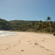 Einsam und riesig, der Strand in der Hope-Bay
