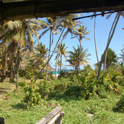 Blick von der rrasse des Farmhauses