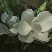 Phil Courtney, "Two Magnolia Flowers", 30” x 46”, oil on canvas