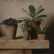 Carlo Russo, "Cacti", 20" x 22", oil/linen